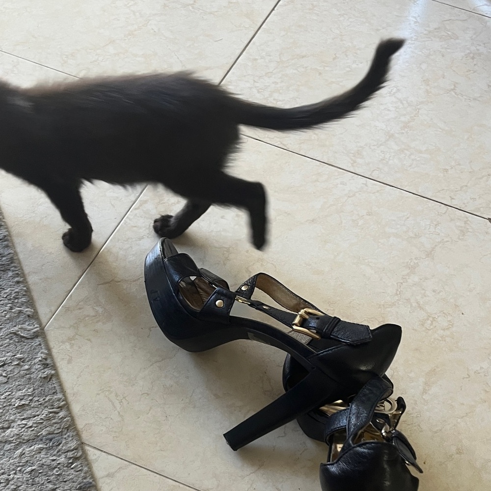 Michael Kors Black and Gold Women's Heels 8 1/2 - Picture 8 of 10
